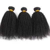 Extensions de cheveux humains naturels vierges indiens bruts, bouclés afro crépus 4B 4C, doux, en trame 3