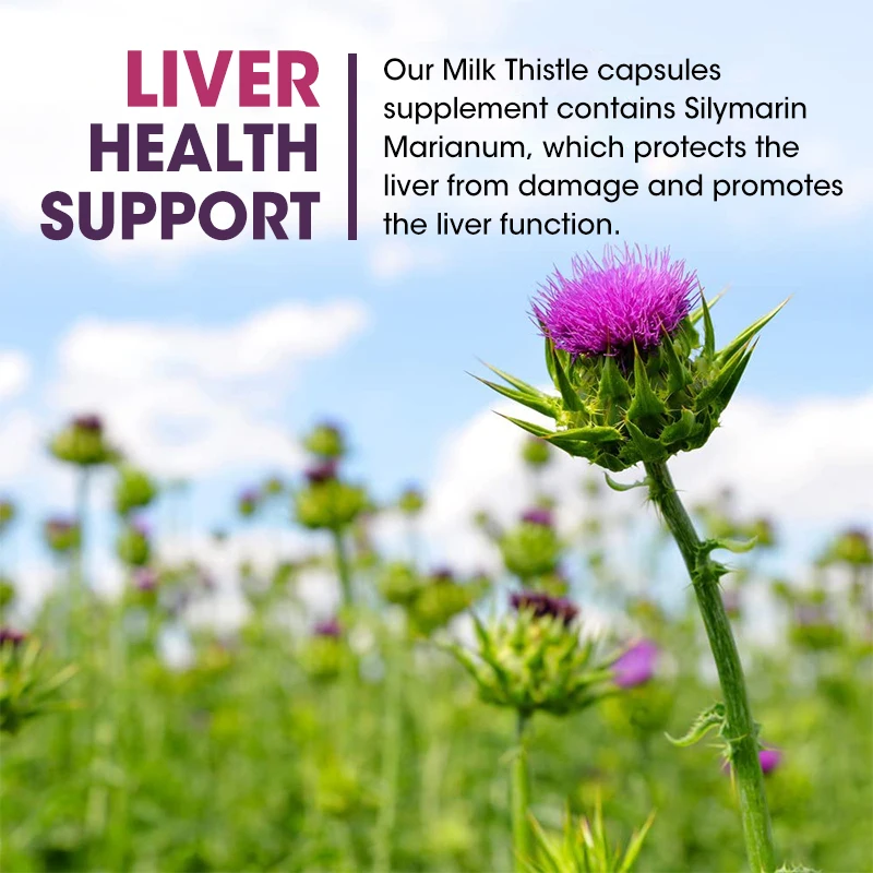 HerbalMilkThistleCapsulesDetoxLiverProtectionStrengthenImmunityLowerBloodSugar