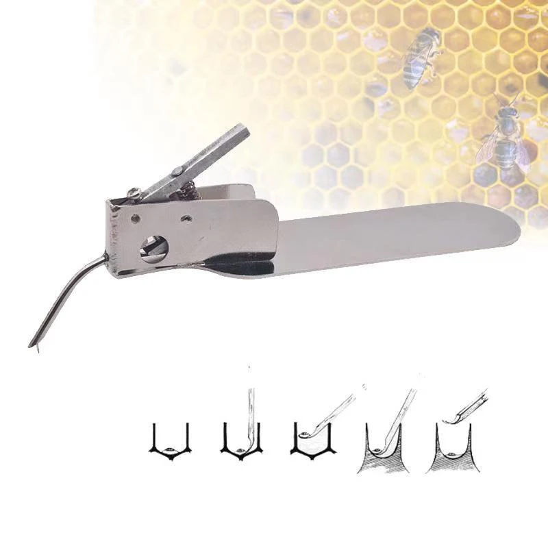 Imkerei Pfropfen Werkzeug Bienenzucht Werkzeug Bienenzucht Pfropfen Werkzeug Single-End Queen Bee Larve Pfropfen Nadel Übertragen Werkzeug