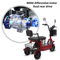 Tricycle électrique puissant pour parents, enfants et adultes, 3 roues, pour personnes âgées, 2 places, batterie 800W amovible, longue autonomie, scooter électrique 60 km 6