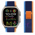 Light blue orange