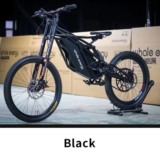 Whale Energy Surron Electric Dirt Bike 