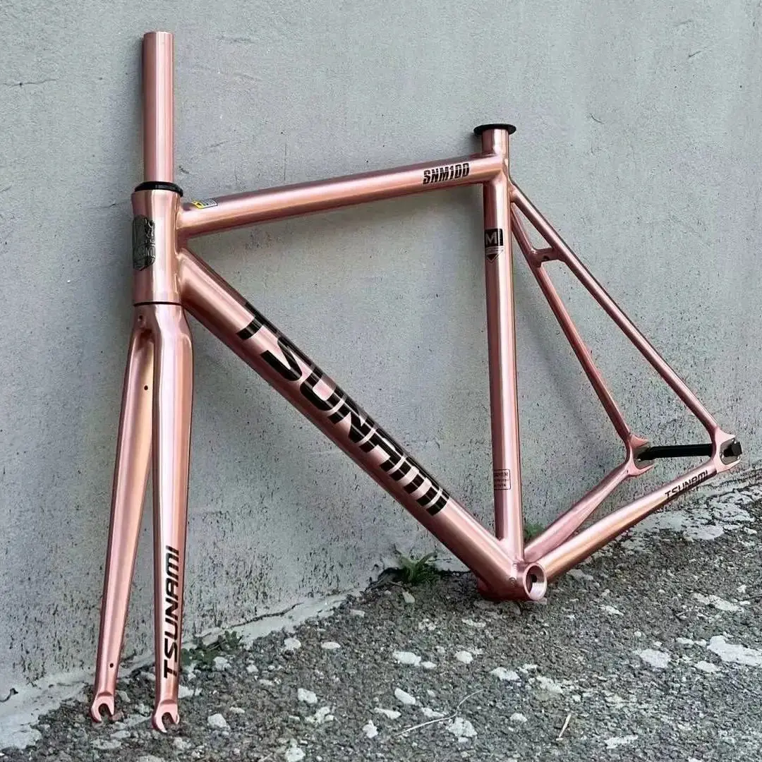 Grossiste fixie vélo cadre acier pour améliorer votre jeu de cyclisme