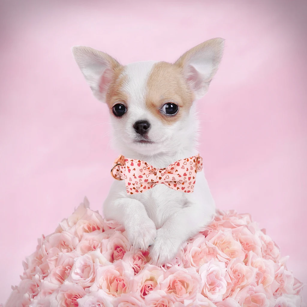 Elegant Little Tail Store