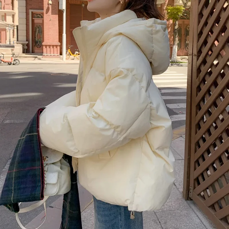 Rimocy ������ ũ�� ��ī, ���������� �ٿ� �� �ĵ� ������Ʈ, �β��� ������ ��Ŷ, �ѱ� �м�, 2023 �ܿ�