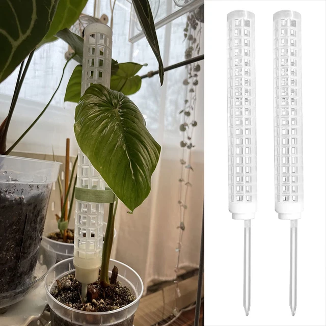 2Dcs Kúszónövény Kókuszdió Totem Bot Beltéri Otthoni Kerti Mohaszárka Felfelé Nőtt - Image 3