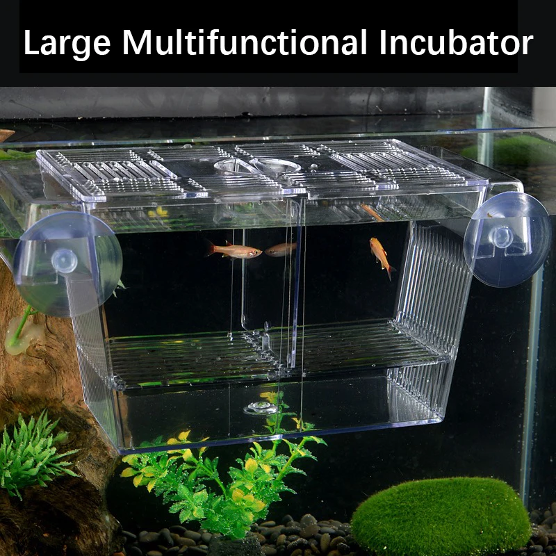 Aquarium Peacock Fish Incubator Breeding Box Acrylic Isolation Box Tropical Hatchery Spawner Alec Tank Betta Fish Separate fish aquarium fish breeding box