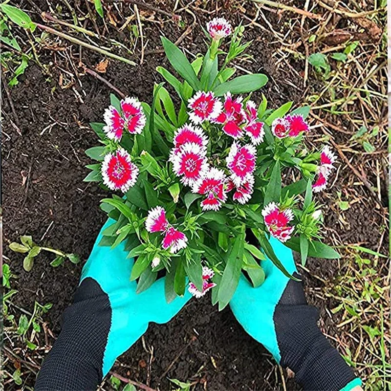Work Gloves Gardening Gloves with Claws Digging Planting Protective Latex Durable Waterproof Prick-proof Permeable Home Labor