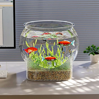 Portable Transparent Round Fishbowl 1