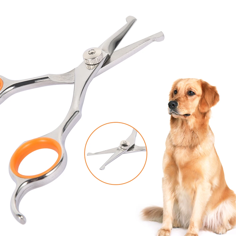 Professional Pet Hair Scissor Stainless Steel Durable Safety Rounded Tips Cat Dog Hair Cutting Tools Pets Grooming Scissors 1Pc dog grooming scissors dog grooming scissors kit