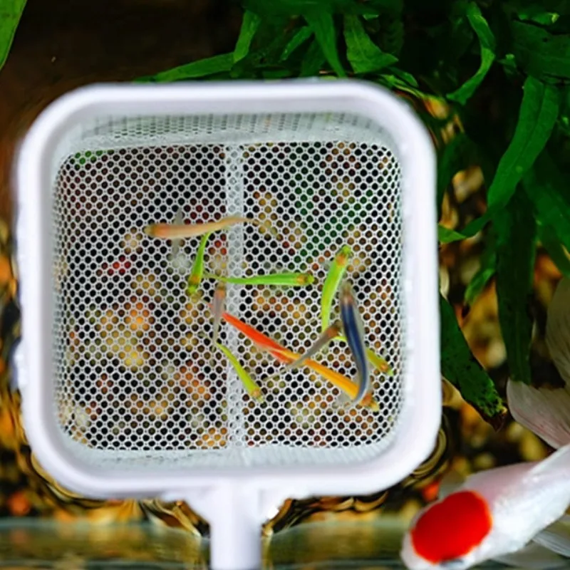 Fishing Landing Net Extendable Telescopic Fish Shrimp Skimming Net Stainless Steel Handle Fish for Aquarium Tank