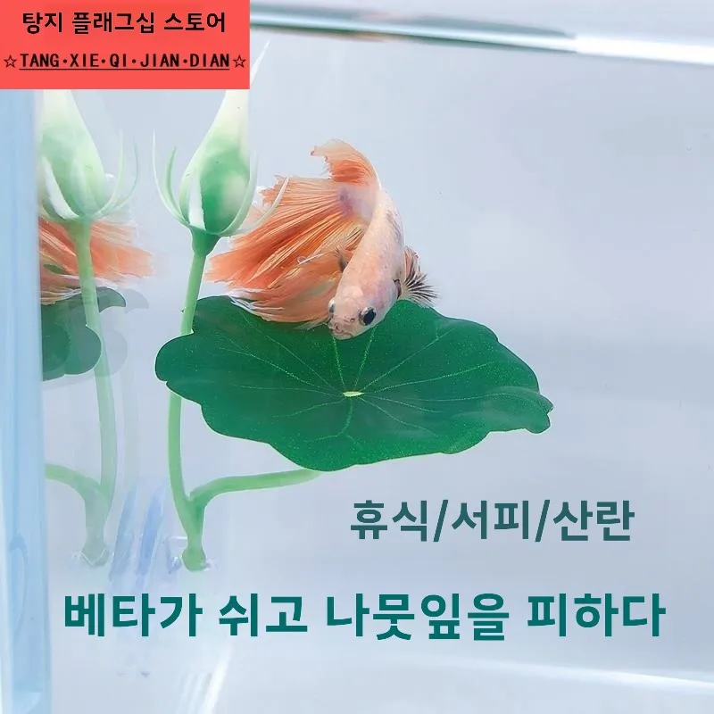 휴식 침대 휴식 침대 수초 휴식 침대 수초 낳기 휴식 침대 수초 가짜 장식 휴식 침대 수초