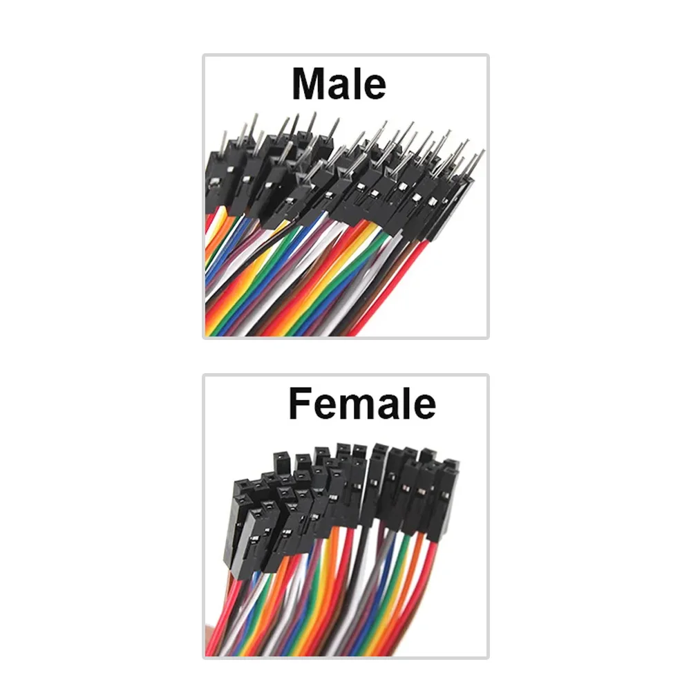 Male to Female