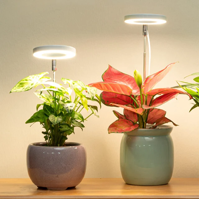 Led Grow Fight Teljes Spektrum Növény Növekedési Lámpa Usb 5V Magasság Állítható Tompítható Termesztési Időzítővel Beltéri Növények Gyógynövényéhez - Image 2