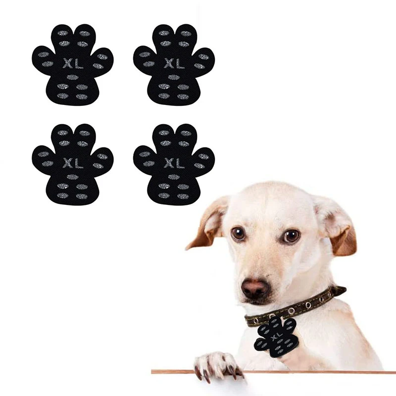 Why Does My Dog Keep Slipping On The Floor