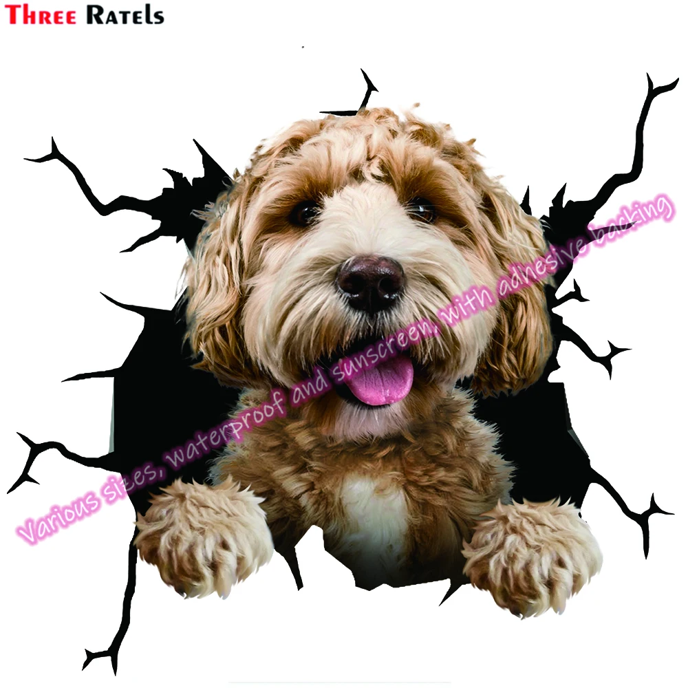 

Three Ratels DA Cute Puppy Dog Poodle Vinyl Sticker Laptop Decal Vinyl Waterproof Material