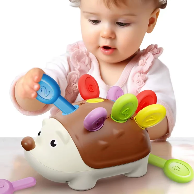 Educational Toys Montessori Fine Motor Toys For Toddlers 1-3 Hedgehog Learning Counting & Sorting Development Sensory Gifts