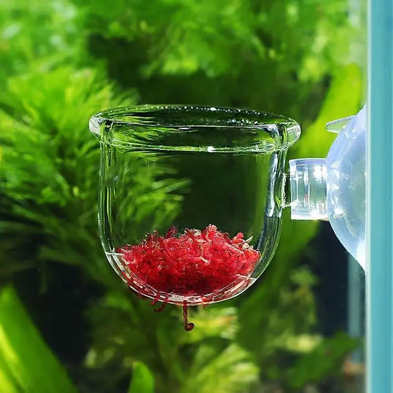 Aquarium Decoration Plant Cup Pot Acrylic Waterweed Cup Mini Gardening Vase Red Worm Feeder For Fish Tank with Suction Holder