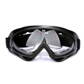 Gray lens