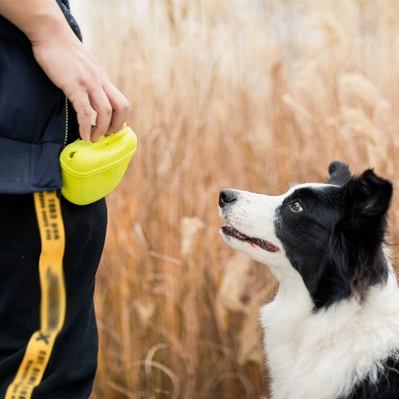 Dog Training Treat Waist Bag 5