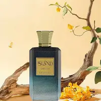 Parfum de parfum d'agrumes de rêve d'île, 100ML, saveur d'épice fraîche orientale, parfum longue durée pour hommes, parfum de dubaï et d'arabie 3