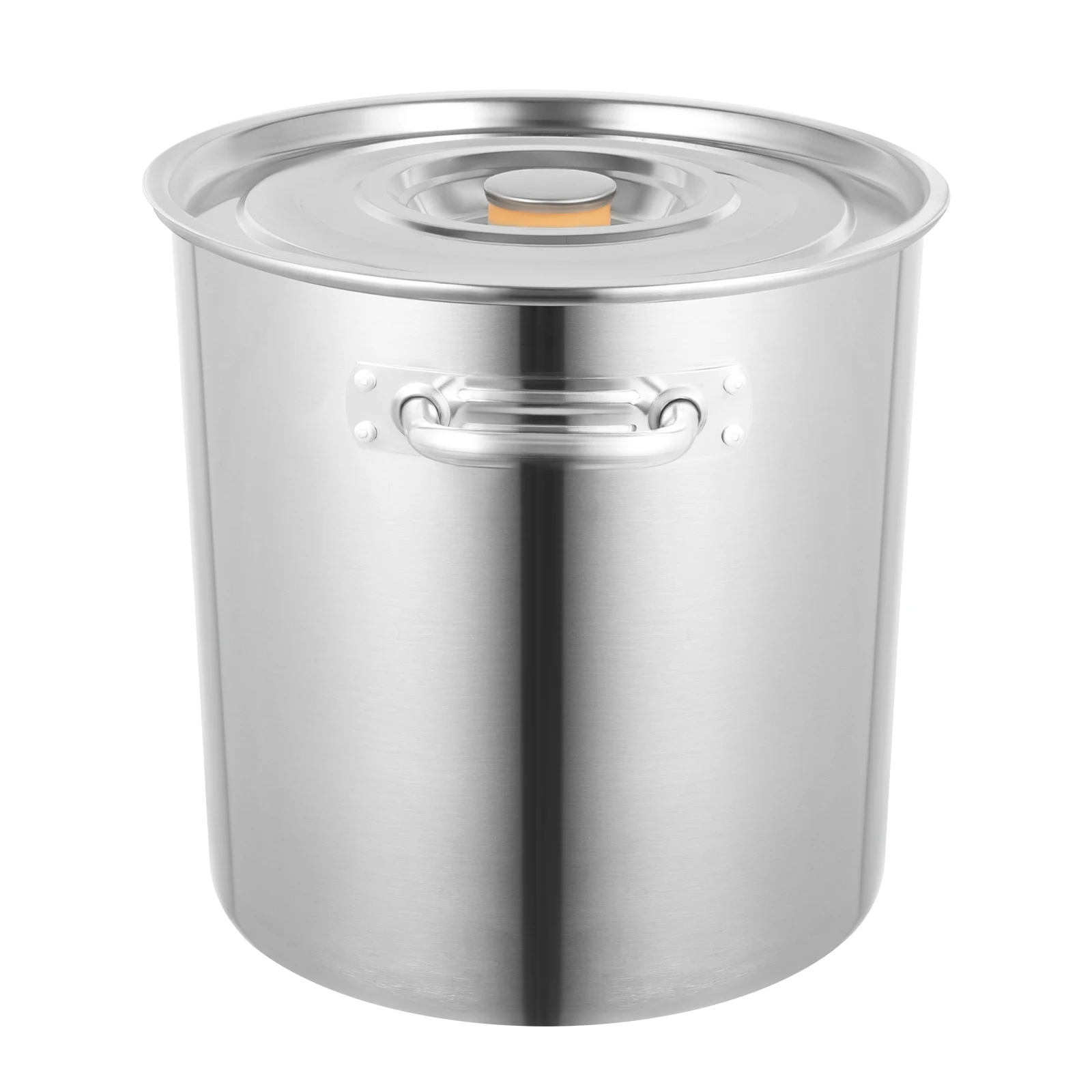 Stainless Steel Stockpot