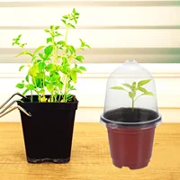 10 Sets Seedling Pot with Cover Garden Tiller Tool Plastic Nursery Accessories Living Room Plants Starter Planter 5