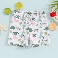 ma&baby 6M-4Y Newborn Infant Toddler Baby Boy Swimsuit Dinosaur Coconut tree Print Shorts Kid Swimwear Beachwear 6