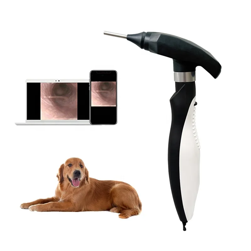 Dog Ent Otoscope Usb Rechargeable Veterinary Video Otoscope Set Ear