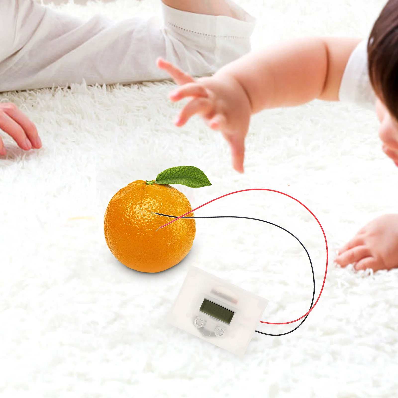 Fruit Experiment Potato Kit Physics Kits Student Toy Clock Making Science for Kids Metal Device Pupils Child Lemons