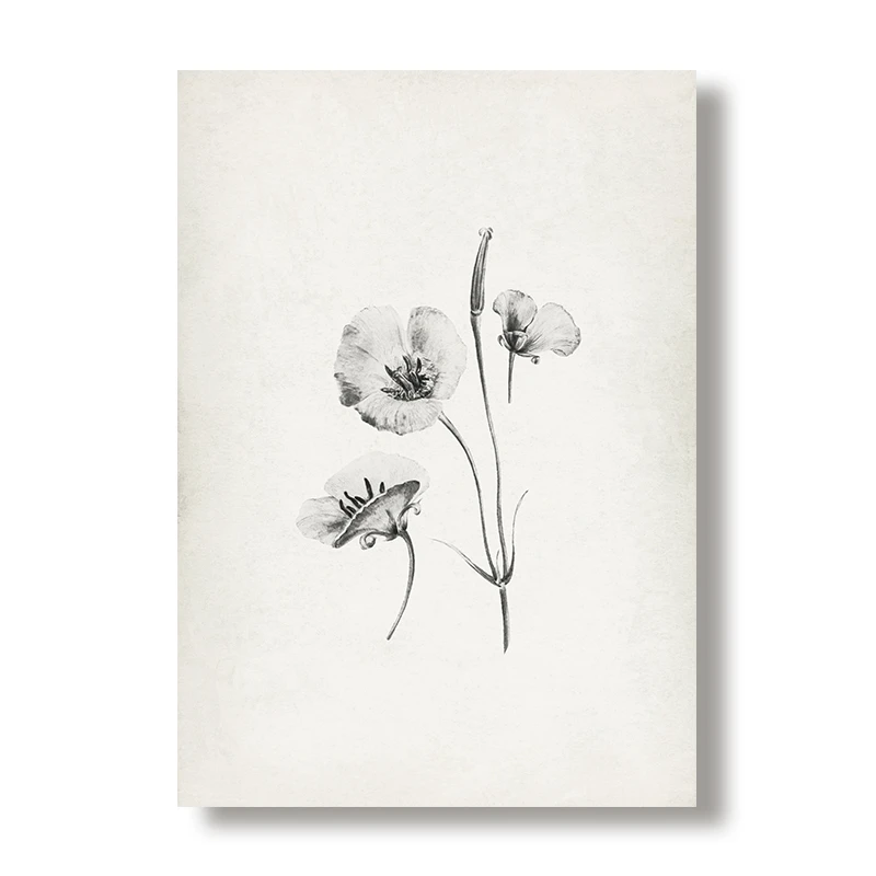 20x25 cm No Frame