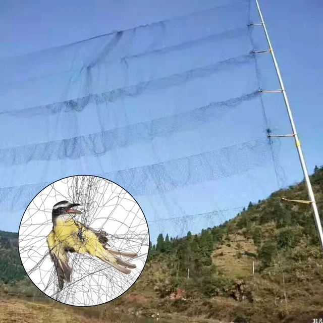 Fekete Nylon Anti -Madárháló Háló Megakadályozza A Vadászat Fogást Kerti Szerszámok Zöldségfarm Gyümölcsös Szőlőskert Védelme