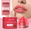 Red Pomegranate Lipstick For Women Hydrating Lipstick Glossy Moisture Lip Gloss Sheer Coverage Long Lasting Lip Balm For Dry Lip 3