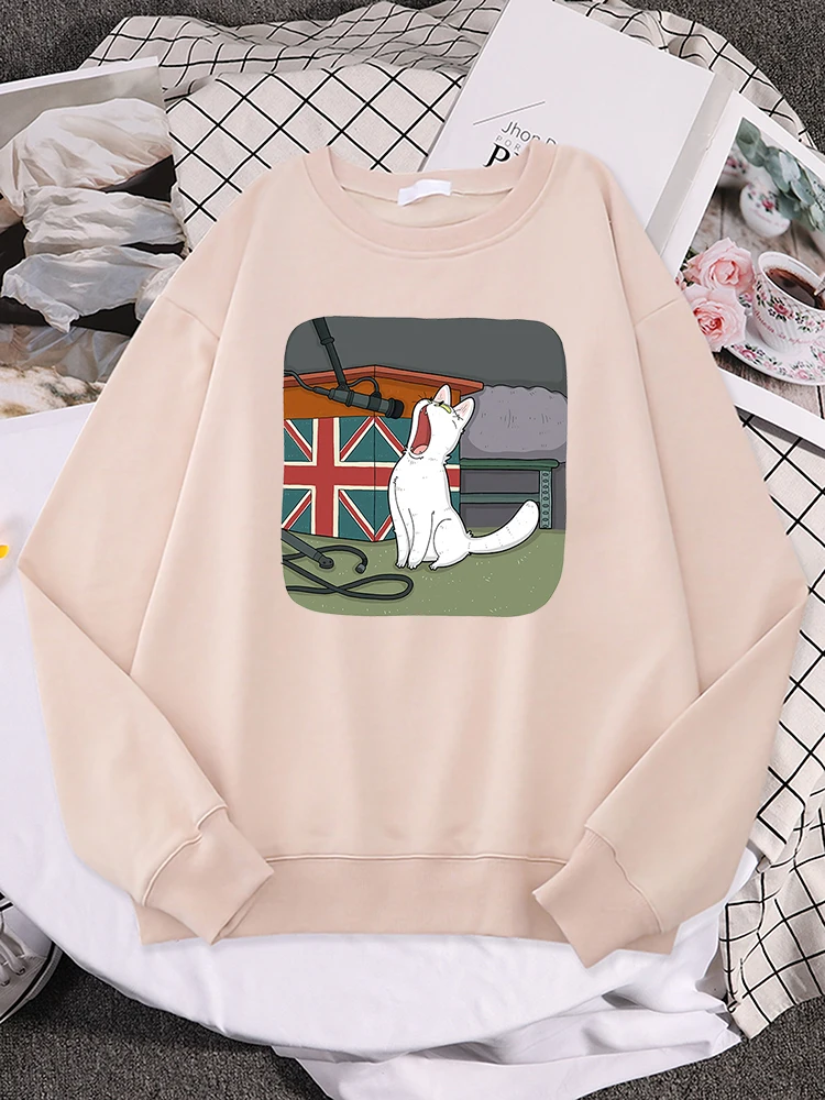 

A Cat That Imitates Huwomen Singing Print Women Hoody Basic Full Sleeve Sportswears Loose Casual Pullover Loose Warm Sportswear