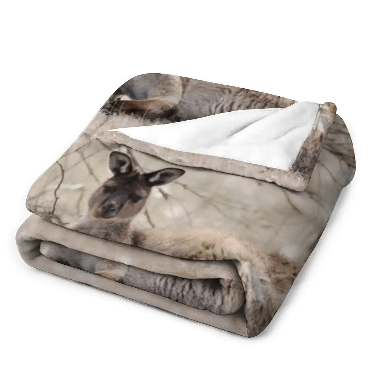 �߻� Ļ�ŷ� ������ ���, �ʴ��� ������ ��, ���� �̺� ���