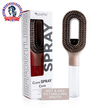 WANMEI 2-in-1 Innovative Hair Mist Brush Wet & Dry Hair Styling – No-Tangle Bristles, Convenient Water Reservoir, Easy-to-Use 1