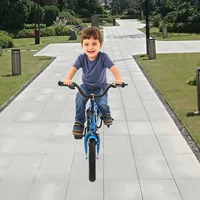 Vélo d'apprentissage bleu pour enfants 14 pouces ‎ avec 2 roues pour vélo pour enfants, siège/accoudoir réglable en hauteur pour ‎ Débutant 3