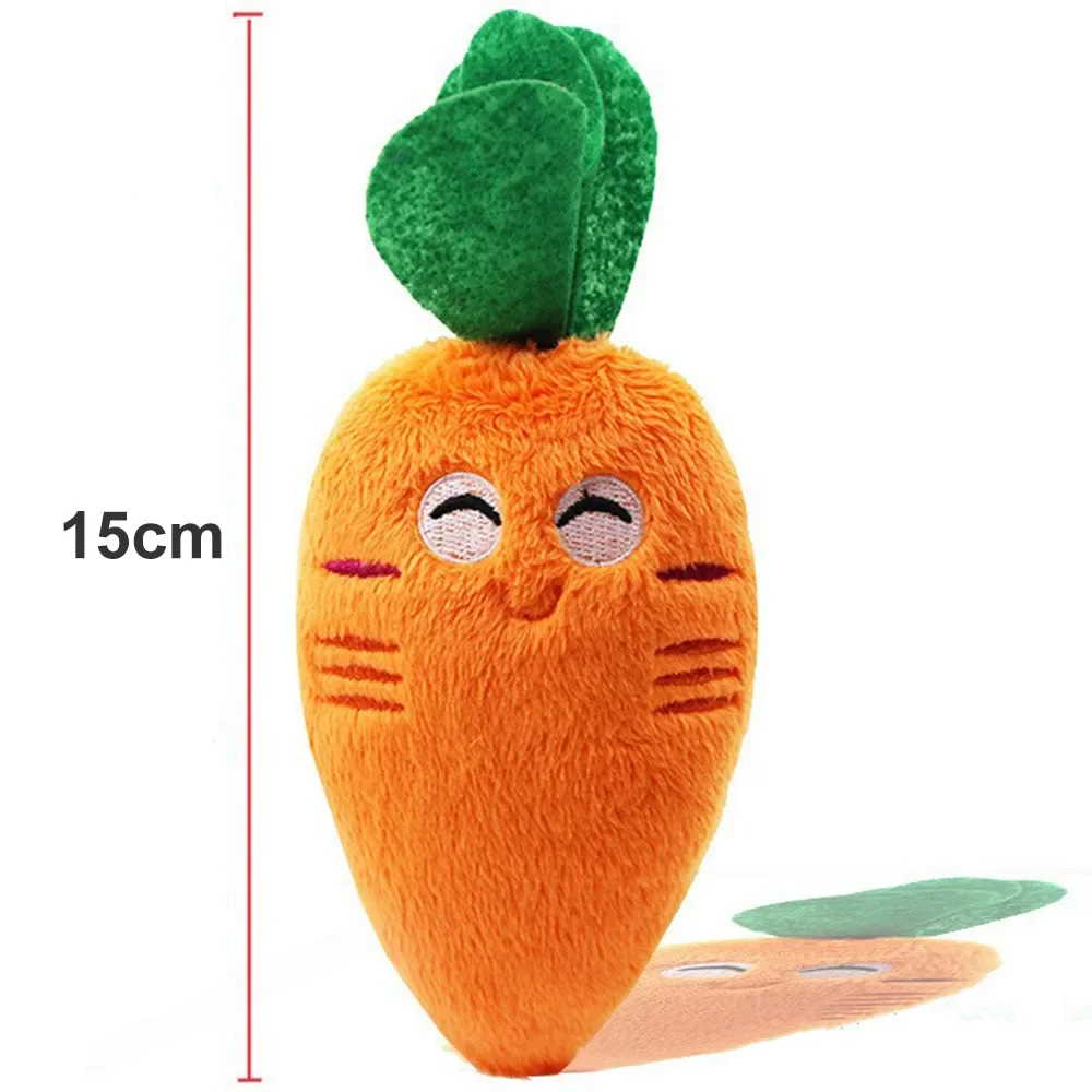 1pc Carrot