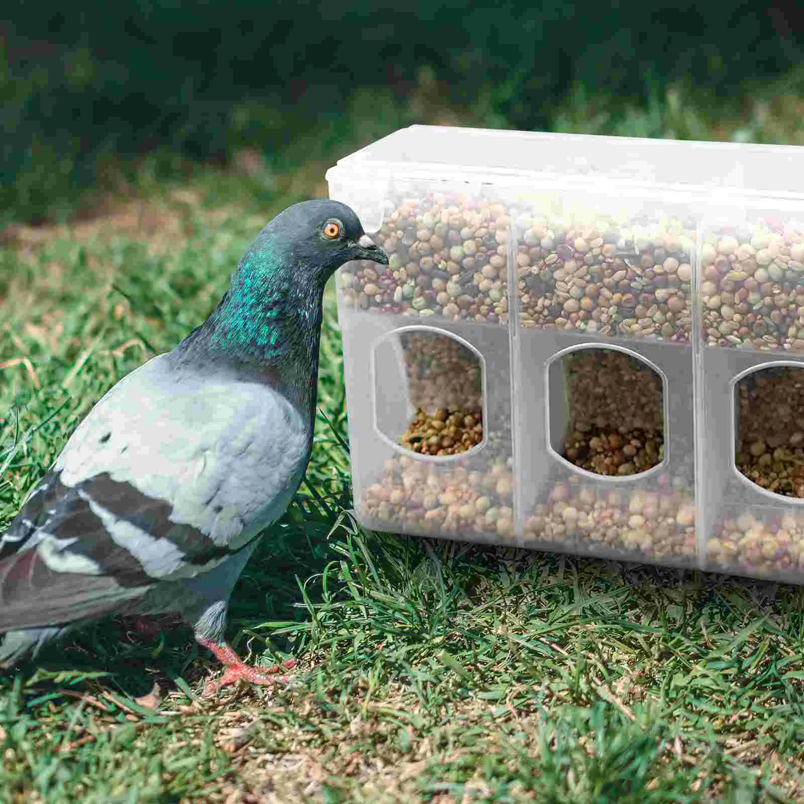 

Bird Cage Food Bowl Parrot Cage Feeder Clear Bird Parrot Food Feeding Container