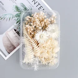 1Box White Dried Flowers for DIY Aromatherapy Candle Making Epoxy Resin Mold Jewelry Accessories Wedding Bouquet Home Decoration