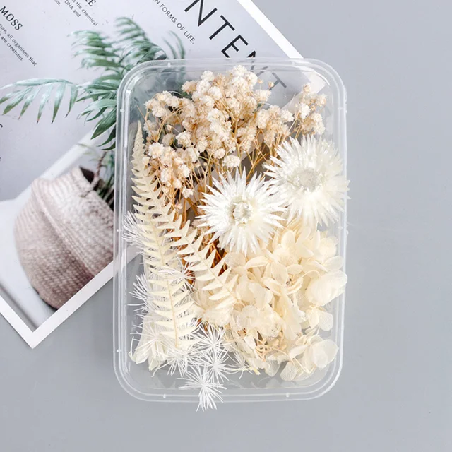 1 Box Artificial Plants Natural Real Dried Flowers for Candles