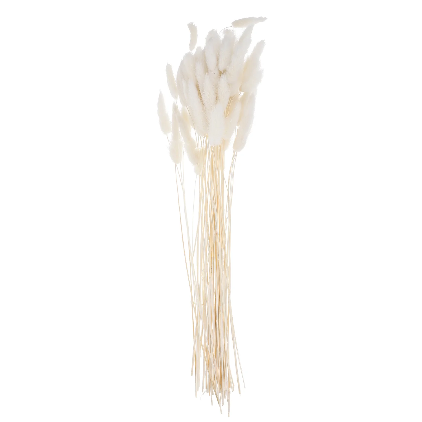 

Bunch/60 Pcs Wedding Decoration Dried Grass Rabbit Tail Hay Natural Plants Dried Flowers for Photography Flower Arrangement