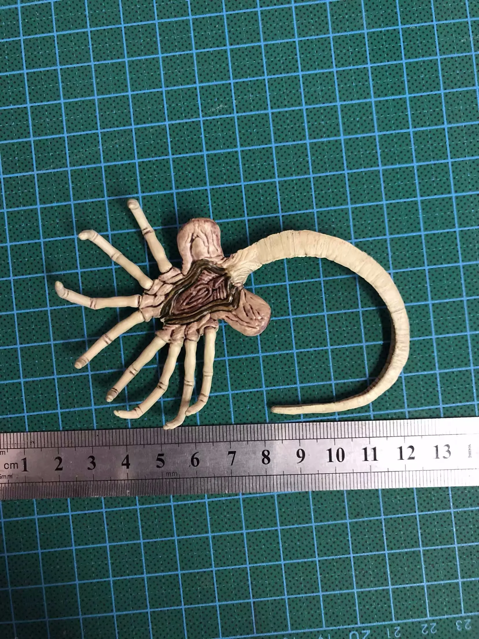 Fire Girl FG027 FG028 1/6 Alien Chestburster Facehugger ǱԾ   ׼ ǰ 12 '' ׼ ǱԾ ٵ