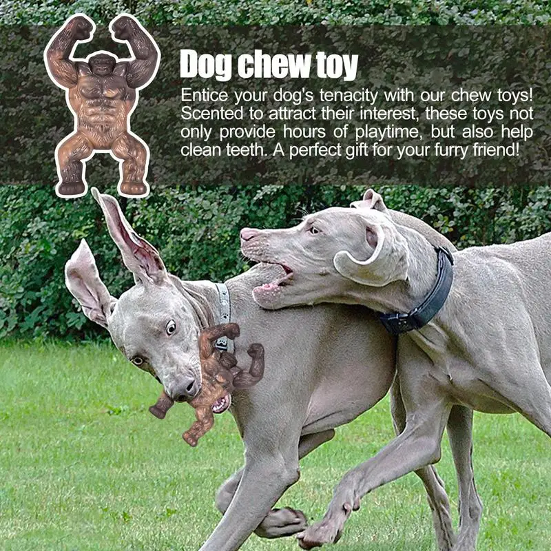 Chew Toys for Dogs for Bully Chewing Indestructible Dog Toys, Real Bacon  Flavor To Keep Your Dog Busy - AliExpress