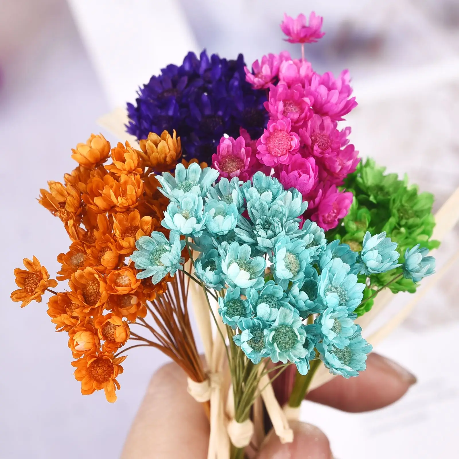 Small Natural Dried Flowers Bouquet Mini Babysbreath Natural Fresh Dried  Preserved Flowers Dry Flowers Press Mini Photography De - AliExpress