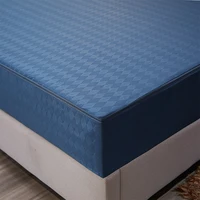 Zipper Detachable Mattress Protector, Solid Color Brushed Six-sided Full-enclosed Dust Cover, Tatami Bed Cover 160x200/140x200CM 5