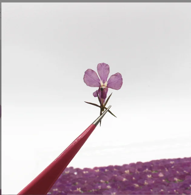 120 Stück/1,5 cm, natürliche kleine Blumen-Tropfen-Kleberaufkleber für Handyhüllen, Lesezeichen, Fotorahmen, Dekoration, Schönheits- und Nagelverzierungsmaterial, Herbstdeko