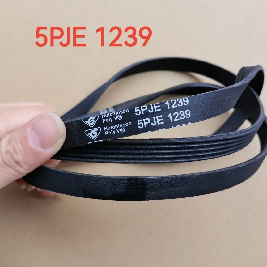 1 Pz Per Cintura Rondella Tamburo Midea/Little Swan/Haier 5 Pje1239 5 Epj1239