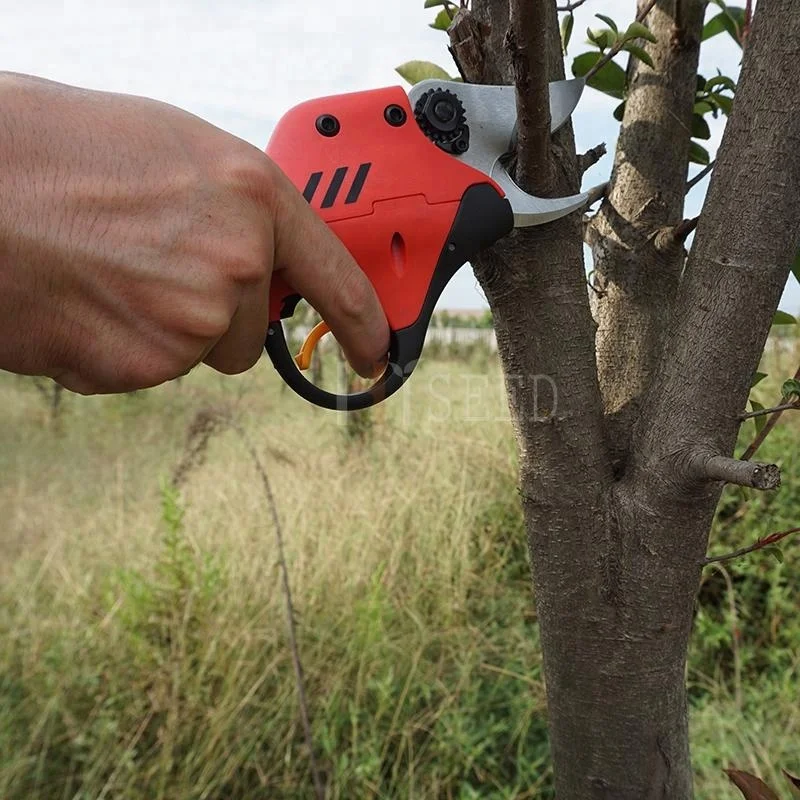 Pruning Tools Electrical