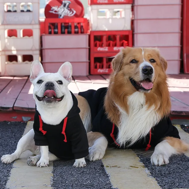Dog Hoodie Pet Clothes 3